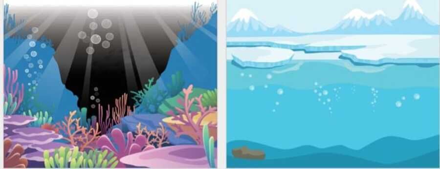 Lino Tekrar Tekrar Kullanabilen Sticker Pad Okyanus Canlıları