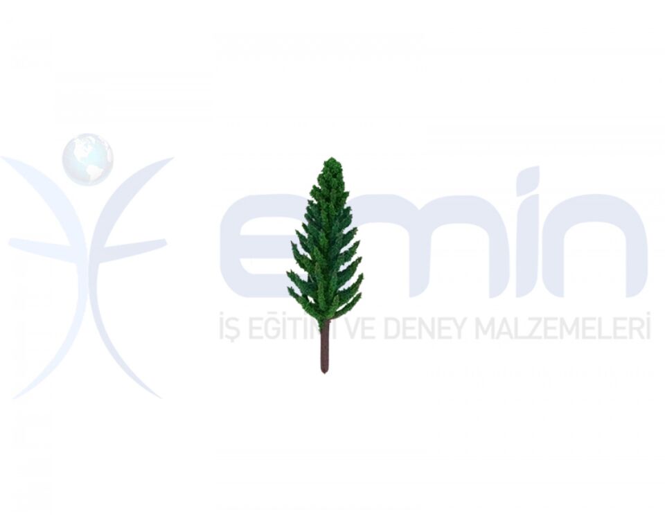 Emin İş Eğitimi Maket Ağaç 4 Lü