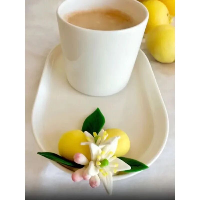 Nureart Fruit Set Meyve Seti Silikon Kalıp Sk1013059