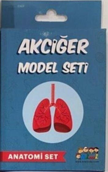 Kiwi Akciğer Deney Seti