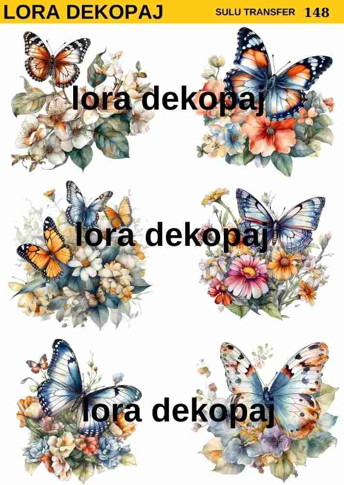 Lora s148 Sulu Transfer