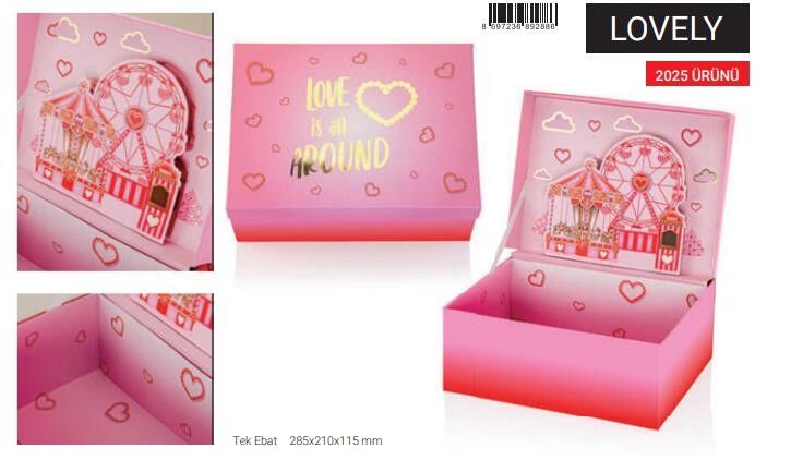 Gıpta Lovely 3D Hediyelik Kutu