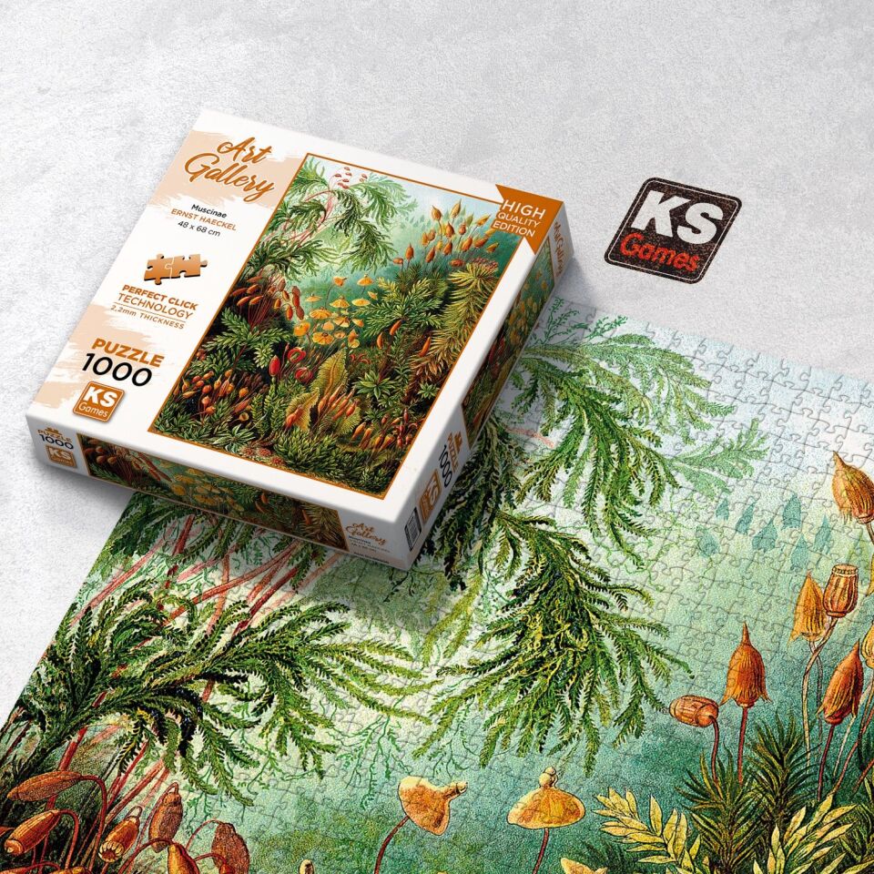 Ks Games Puzzle 1000 Muscinae