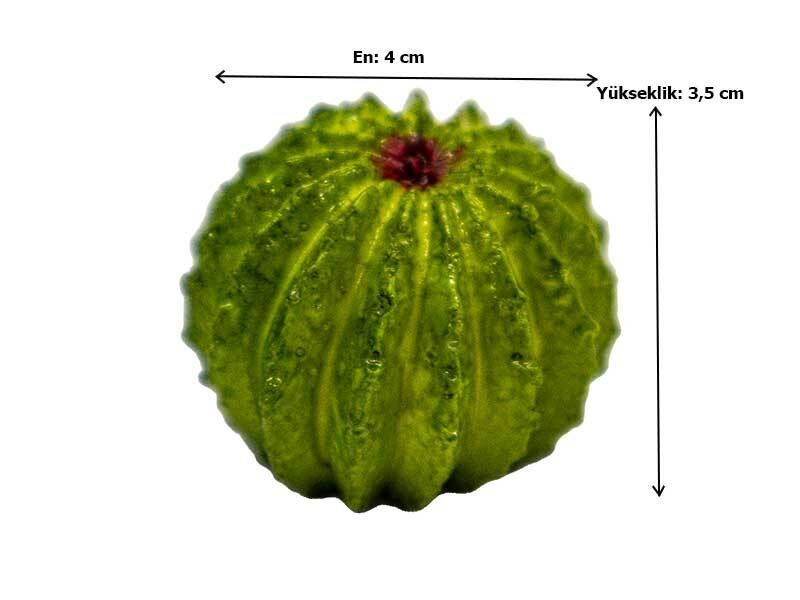 Kmy Yuvarlak Kaktüs Silikon Kalıbı Khm211