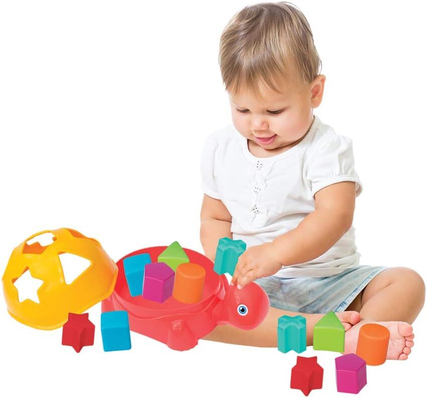 Dede Kaplumbağa Bul Tak