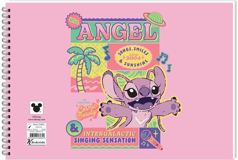 Keskin 17x25 15 Yaprak Lilo&Stitch Resim Defteri