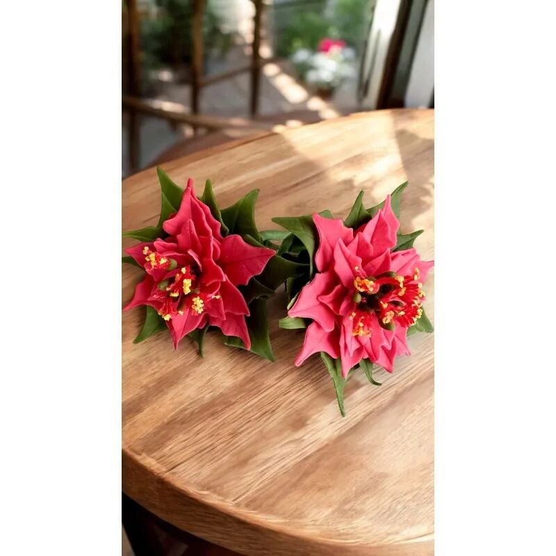 Nureart Poinsettia Leave Atatürk Çiçeği Yaprak Silikon Kalıp Sk1013076